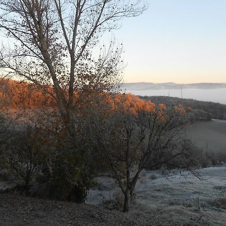 Gite Des Monts Saint-Izaire Esterno foto