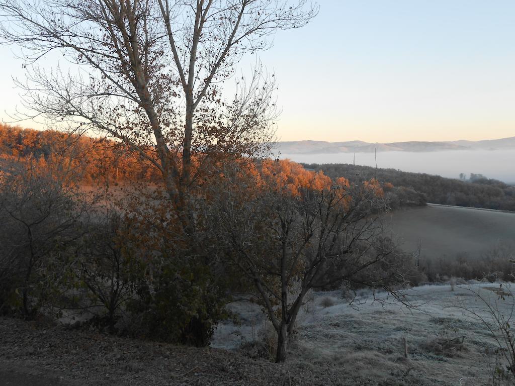 Gite Des Monts Saint-Izaire Esterno foto