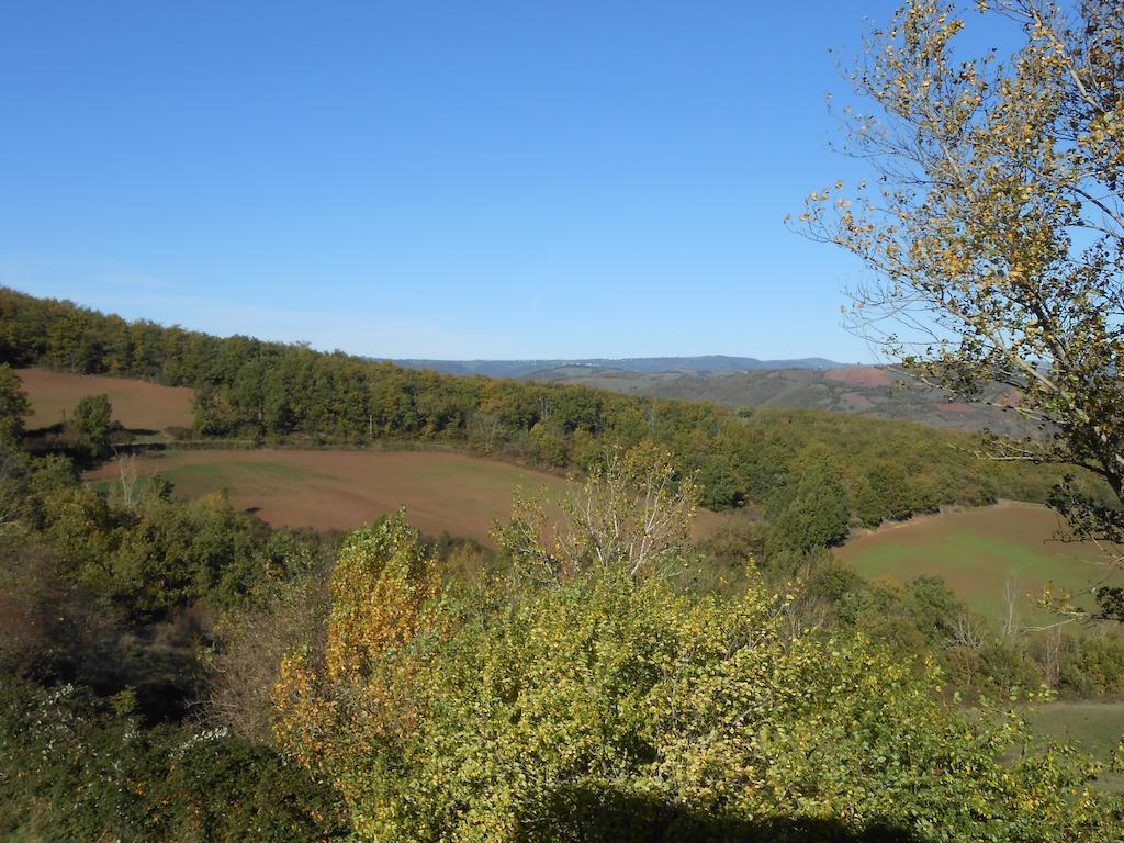 Gite Des Monts Saint-Izaire Esterno foto
