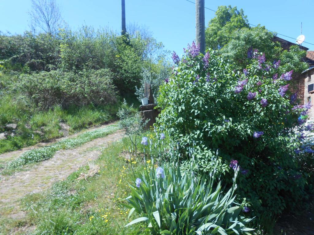 Gite Des Monts Saint-Izaire Esterno foto