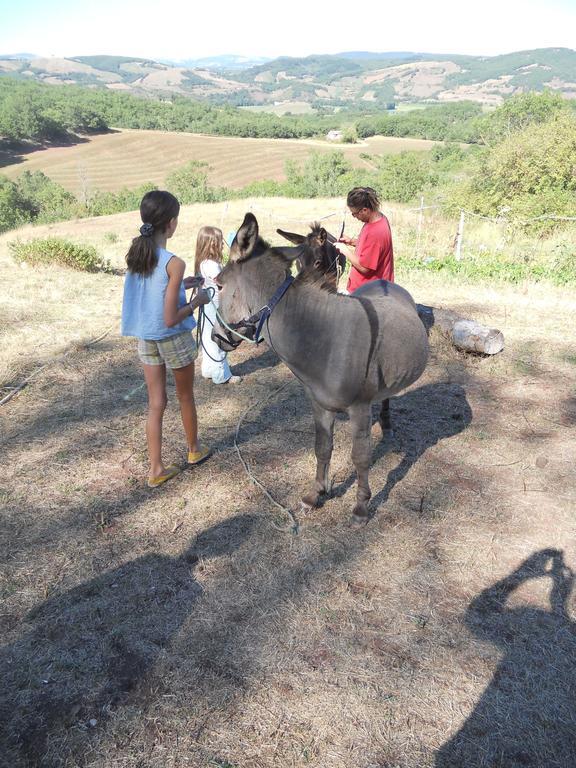 Gite Des Monts Saint-Izaire Esterno foto
