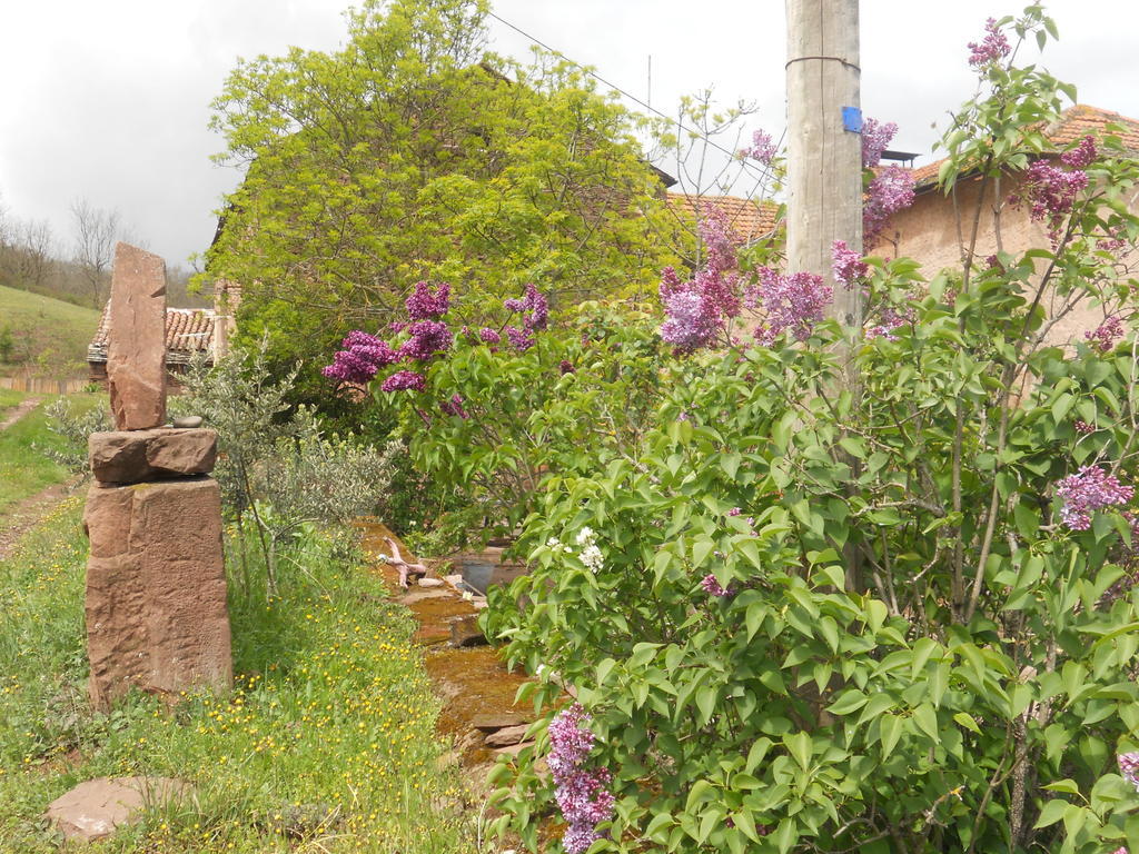 Gite Des Monts Saint-Izaire Esterno foto