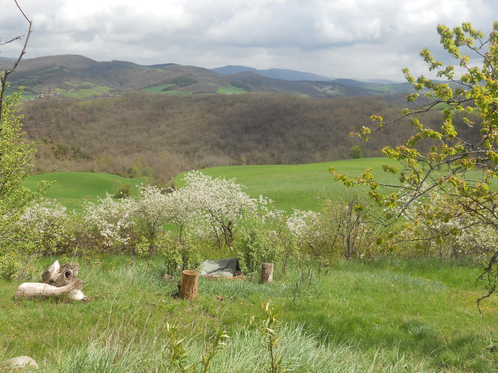 Gite Des Monts Saint-Izaire Esterno foto